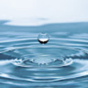 Meet your Posher, Isabella & francesca